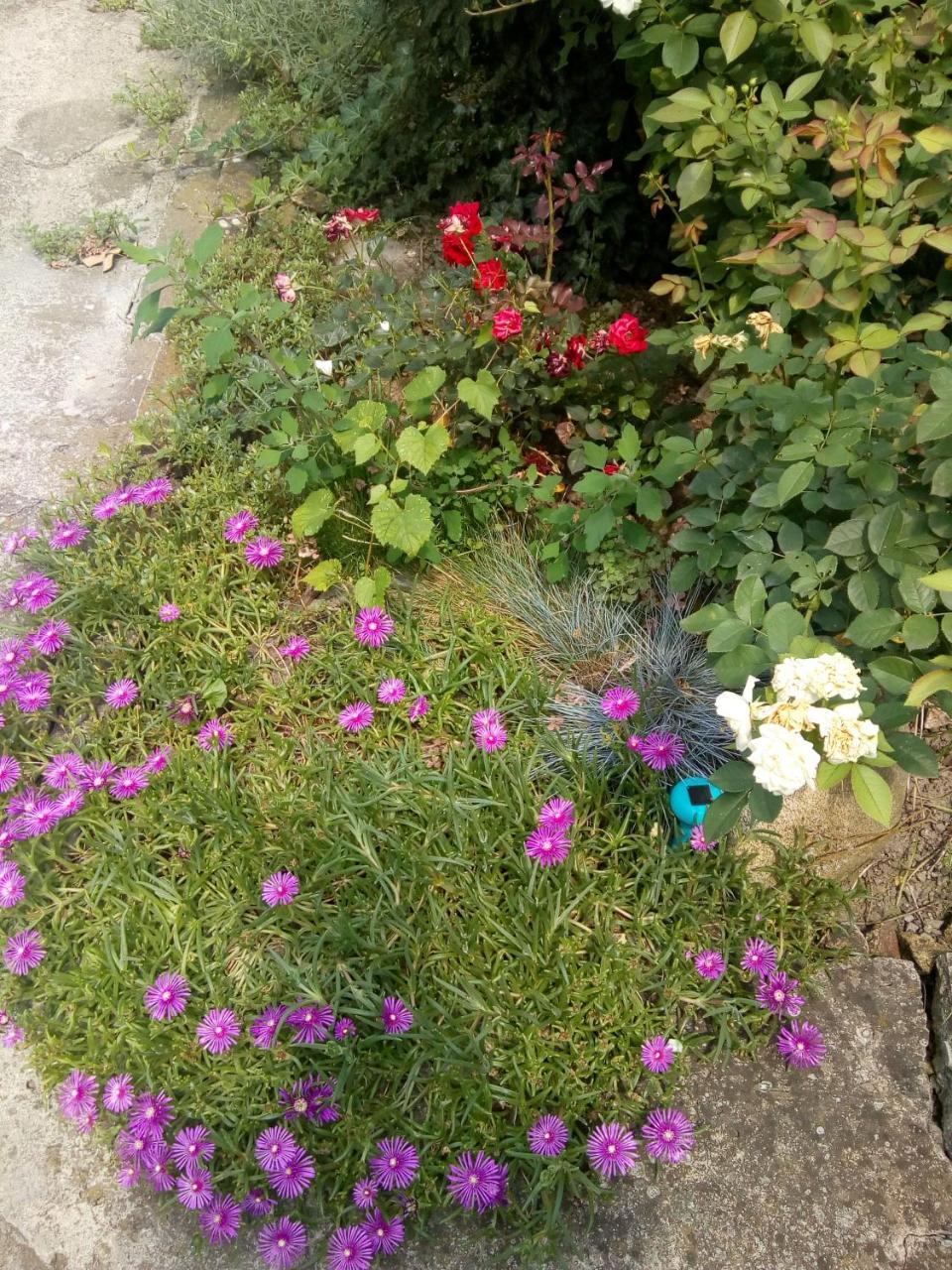 Beograd - Apartman "Gardos" Zewnętrze zdjęcie